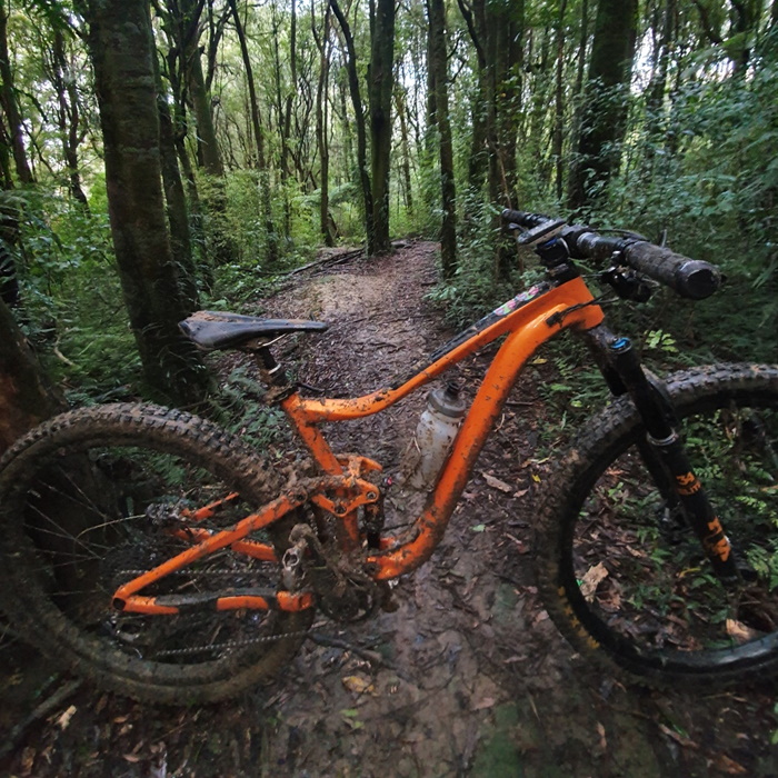 Photo of muddy trail